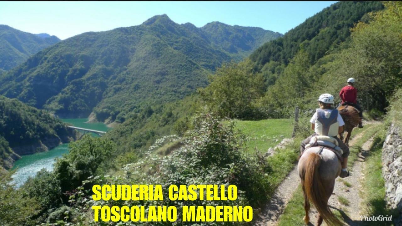 Dream Apartment Toscolano Maderno Dış mekan fotoğraf